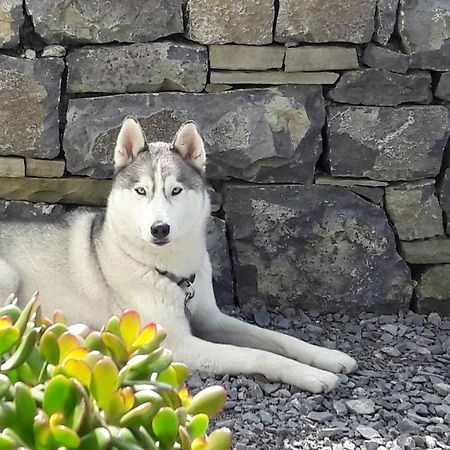 Cois Na Habhann Doolin Exterior foto
