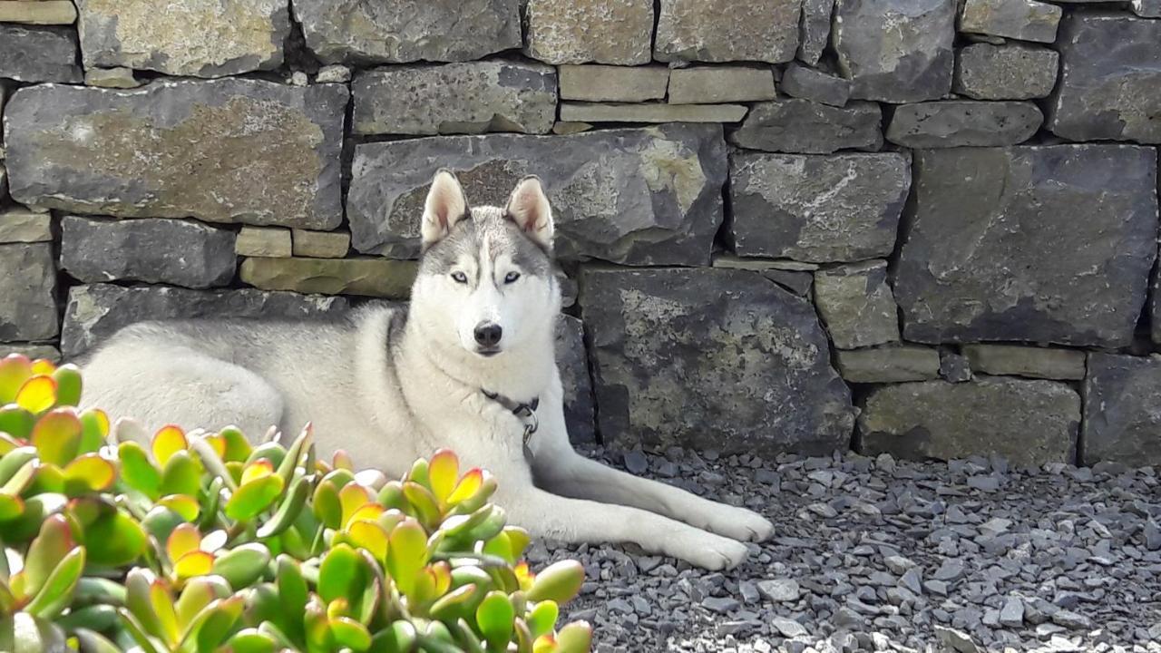 Cois Na Habhann Doolin Exterior foto